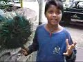 Multi language kid