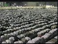 This was recorded by al Qari Ali Abdul majid. One of the known imam in the Philippines during tarawih prayer the month of Ramadhan 2007.  (more)  (less)