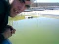 Turtle in the ocean FEAT Austin Dubois \"Dubie\"