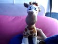 Onibus com a girafinha