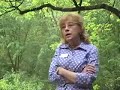 Judge Linda Stephens Speaks at BlueNC Blogger Bash