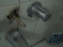 The Shower Diverter