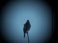 Unknow New Friend