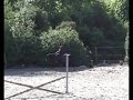 Paardrijden Liza