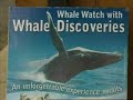 Whales - Tonga