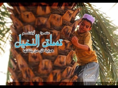 تقرير حول رياضة تسلق النخيل بمؤسسة الشيخ عمي سعيد - القناة الجزائرية الثالثة