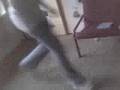 Duojumpen