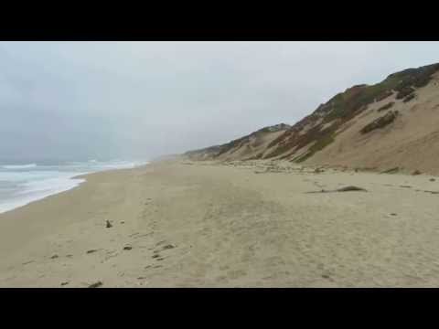 Video for Marina State Beach – South Beach