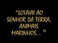 pinguins apaixonados: tudo que tem f�lego louvem ao senhor.