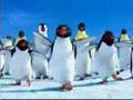 Pinguins apaixonados - Gospel