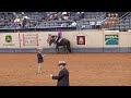 R PAIT 3. HOPE BY INVITATION / EH PAIT JR 4. MY BODYS SHEIK / J COLE BAKER 5. RL SUDDENLY FAMOUS / VALERIE KEARNS 6. COOL MOVIN LADY / CHRIS JONES 7. INVITE MOONLIGHT / STEVE MEADOWS 8. SHOW DIVA / ANDY COCHRAN 9. I LIKE ITIN THE DARK / TY M HORNICK 10. DIMENSIONALLY ROSITA / DANA HOKANA ... 2008 American AQHA Finals halter horse open PLEASURE. quarter SENIOR SHOW TULSA WESTERN WORLD 1. POTENTIAL DIVA RUSTY GREEN 2. AMBLIN IMPULSION JAMIE PAIT 3. HOPE BY INVITATION JR 4. MY BODYS SHEIK COLE ...