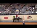 Sr Western pleasure AQHA WORLD SHOW 2008