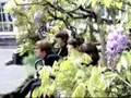 Paperback Writer: The Beatles