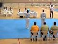 2010-05-21 | Alejandro Carbajal Torneo estatal de Tae Kwon Do La Paz BCSur 2010.MP4 ~> ()