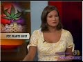 Gilbet AZ, Marijuana Grow House Busted