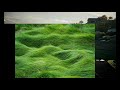 Perlman – Salut d'amour