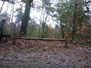 eline en ilse in het bos.