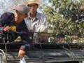 Myanmar Yangon Popa Pye ミャンマーの旅3　ヤンゴン・カラオ・ピー