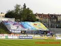 tulcea hooligan