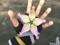 Buenao aqui esta el video para Kairi^^he utilizado la cancion de Clebrate de Utada Hikaru.Hasta pronto