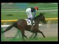 Deep Impact Triple Crown