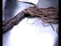 medula espinal upc anfiteatro medula espinal upc anfiteatro