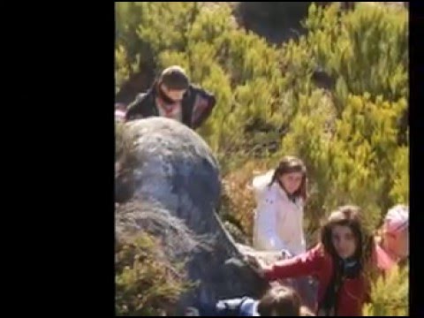 Navidad 2007