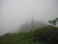 Mariners Ridge Hike 2