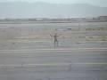 videos de Borat comes to Afghanistan