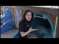 Aquatica Becomes Newest Central Florida Theme Park