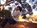Vashti Bunyan - Diamond day