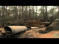 Bastrop State Park Rains, Texas Parks and Wildlife [Official]