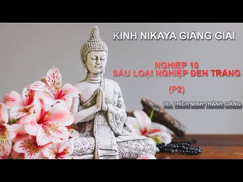 Kinh NIKAYA Giảng Giải - Nghiệp 10 - Sáu Loại Nghiệp Đen Trắng - Phần 2 Kinh NIKAYA Giảng Giải - Nghiệp 10 - Sáu Loại Nghiệp Đen Trắng - Phần 2