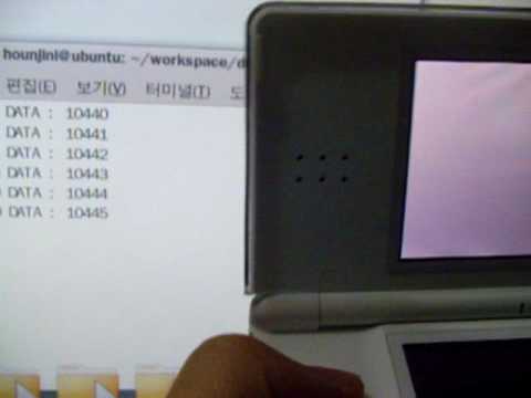 how to connect ds lite to computer with usb