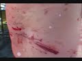 CZW Tournament Of Death 7 Montage