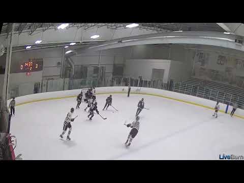 Puck control + great goal