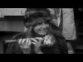 Sam The Sham & The Pharaohs - Black Sheep