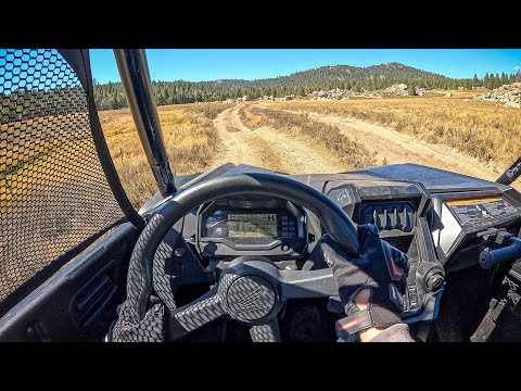 2024 Honda Talon 1000X-4 - POV Test Ride
