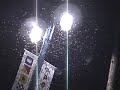 Mayflies  In Toledo Part 1
