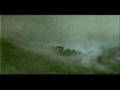 Amazon Sport Fishing DVD Parte 1