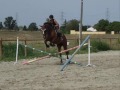 Et� 2007 Cheval-Garonne