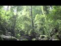 Climate change: Madagascar - by Nature Video