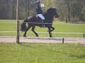 Hengstenkeuring Breiğablik #2 Hengstenkeuring Breiğablik #2