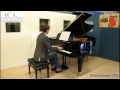 Bösendorfer 225 klassiek Bij Bol Pianos en Vleugels Veenendaal