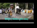 Rokkoshi Shrine festival 2006 Hosogoe Shishi-odori