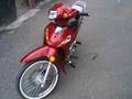 kanuni tigrina 100