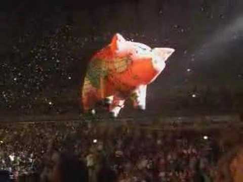 Roger Waters - Sheep Live - Chicago ...
