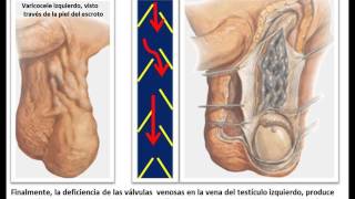 Manuel Humberto Hernandez Bustillo-17