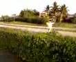 videos de Crazy Jump.