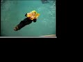 Lifejacket Test by PBO: Marinepool Offshore Premium